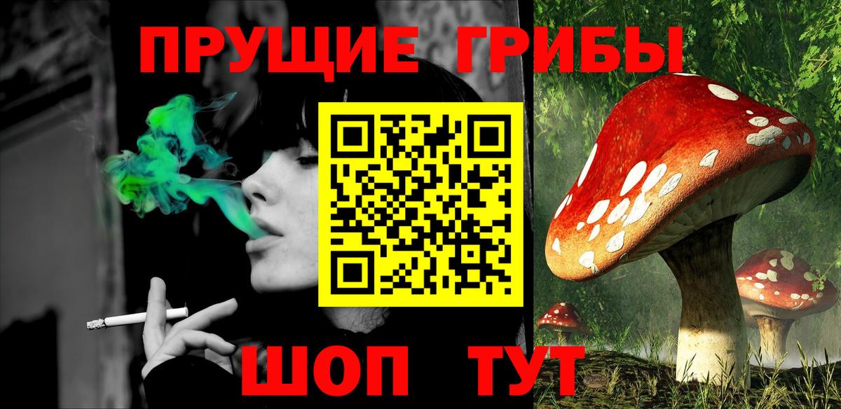 сколько стоит  Галлюциногенные грибы Magic Shrooms  Вход с VPN  Галлюциногенные грибы GOLDEN TEACHER  Владимир 