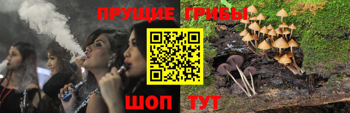 Псилоцибиновые грибы мицелий Владимир