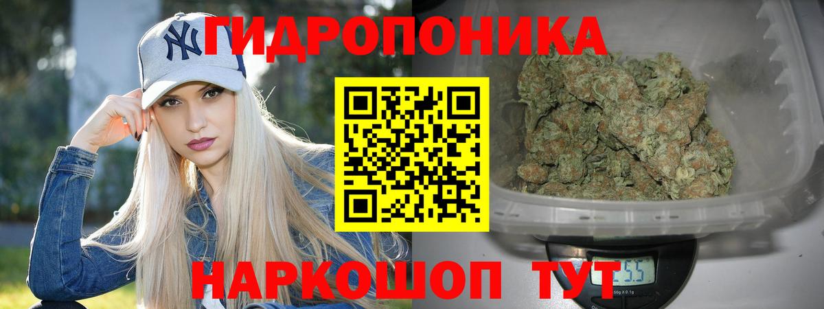 Бошки Шишки индика Владимир